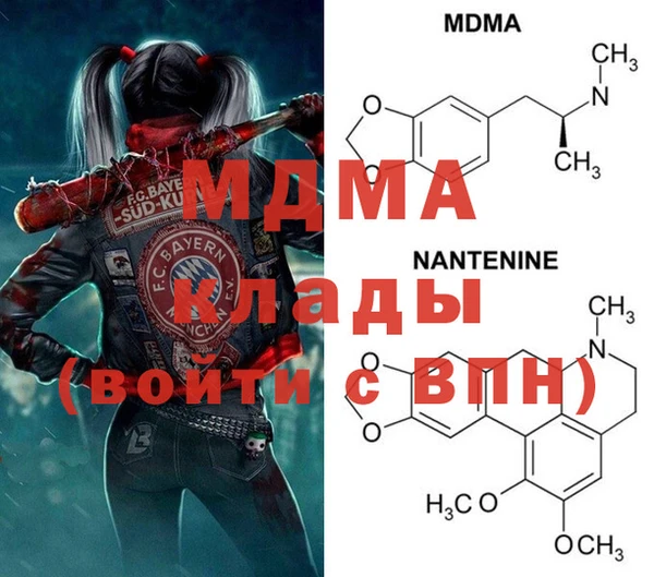 прущие грибы Зеленокумск